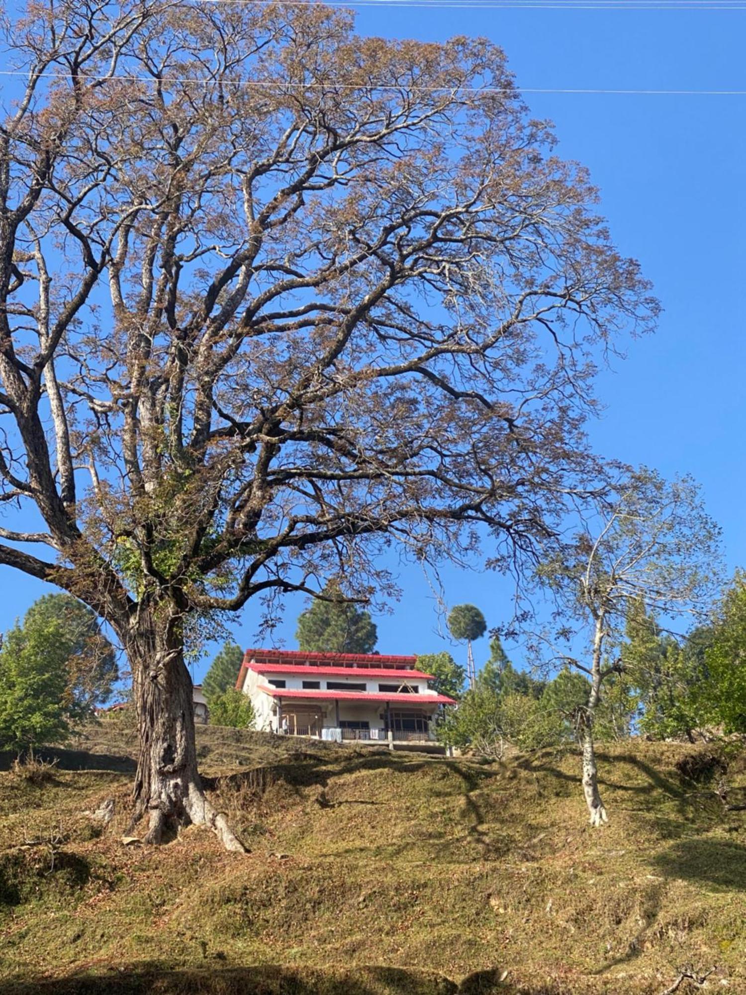 Little Frida- The Dak Bungalows Mukteshwar Ngoại thất bức ảnh